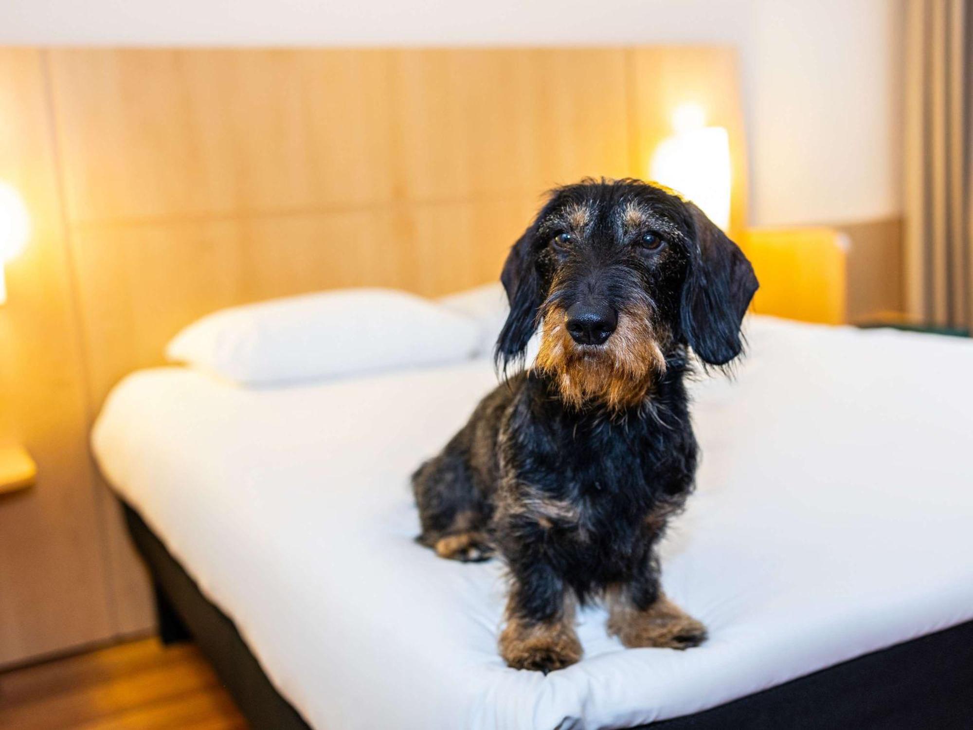 Ibis Antwerpen Centrum Εξωτερικό φωτογραφία